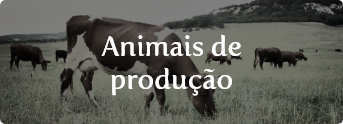 Animais de produção