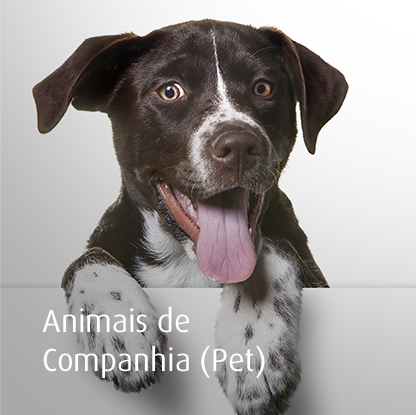 Agener