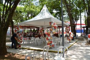 Festa Innovate