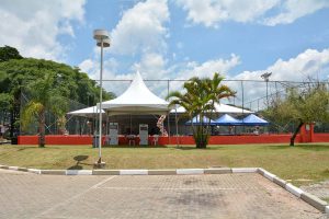 Festa Innovate