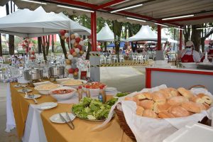 Festa Innovate