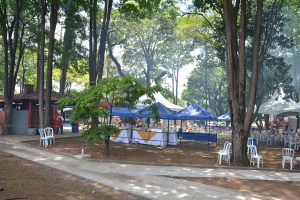 Festa Innovate