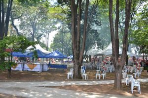 Festa Innovate