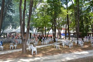 Festa Innovate