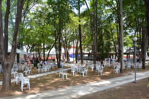 Festa Innovate