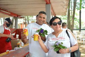 Festa Innovate
