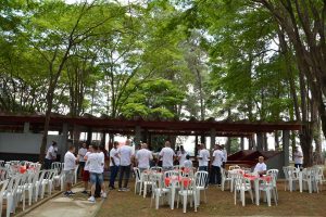 Festa Innovate