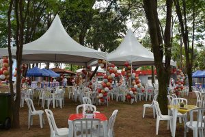 Festa Innovate