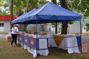 Festa Innovate