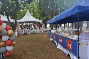Festa Innovate