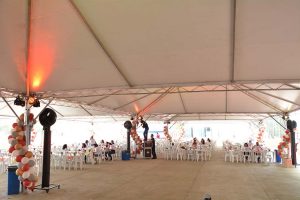 Festa Innovate