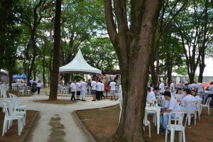 Festa Innovate