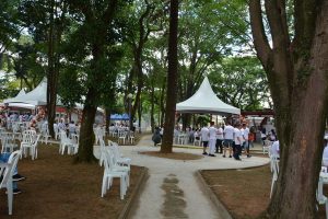 Festa Innovate