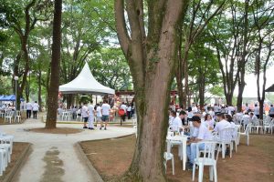 Festa Innovate
