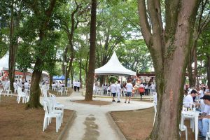 Festa Innovate