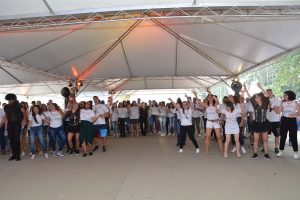 Festa Innovate