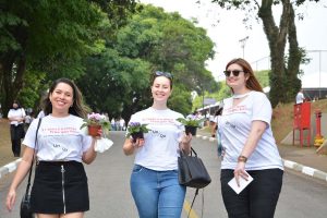 Festa Innovate