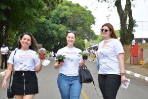 Festa Innovate