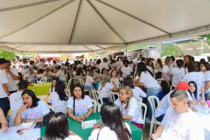 Festa Anovis, Embu-Guaçu e Laboratil