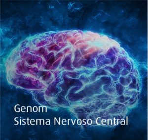 Genom