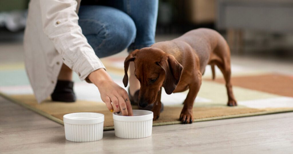 suplementação para todos os animais