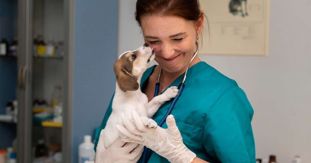 Profissional médico veterinário