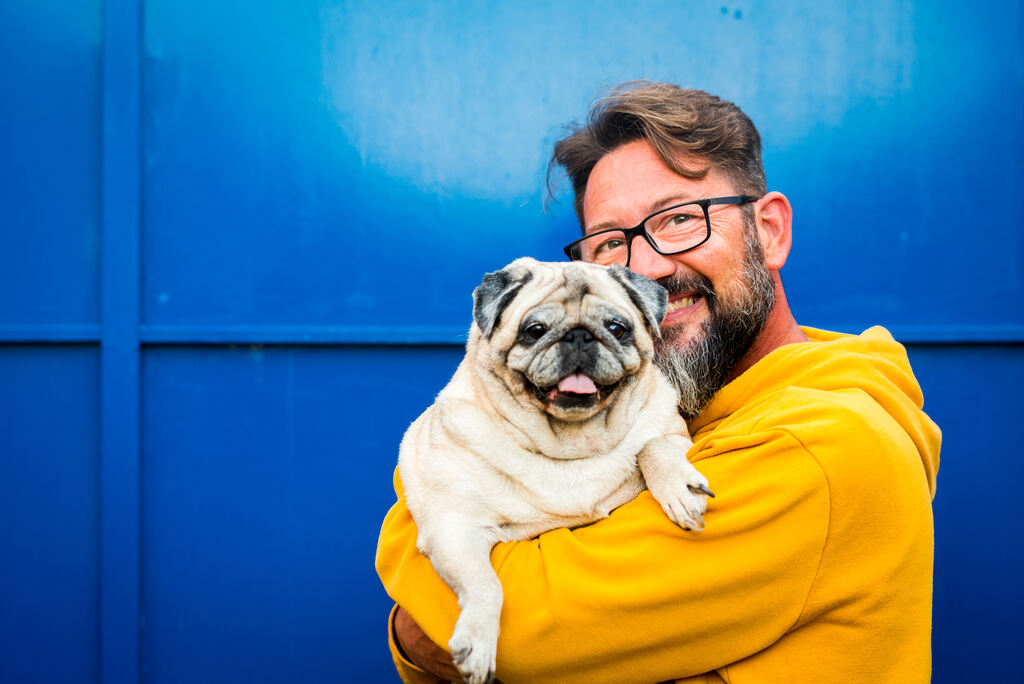 dono segurando cachorro bulldog com parvovirose canina