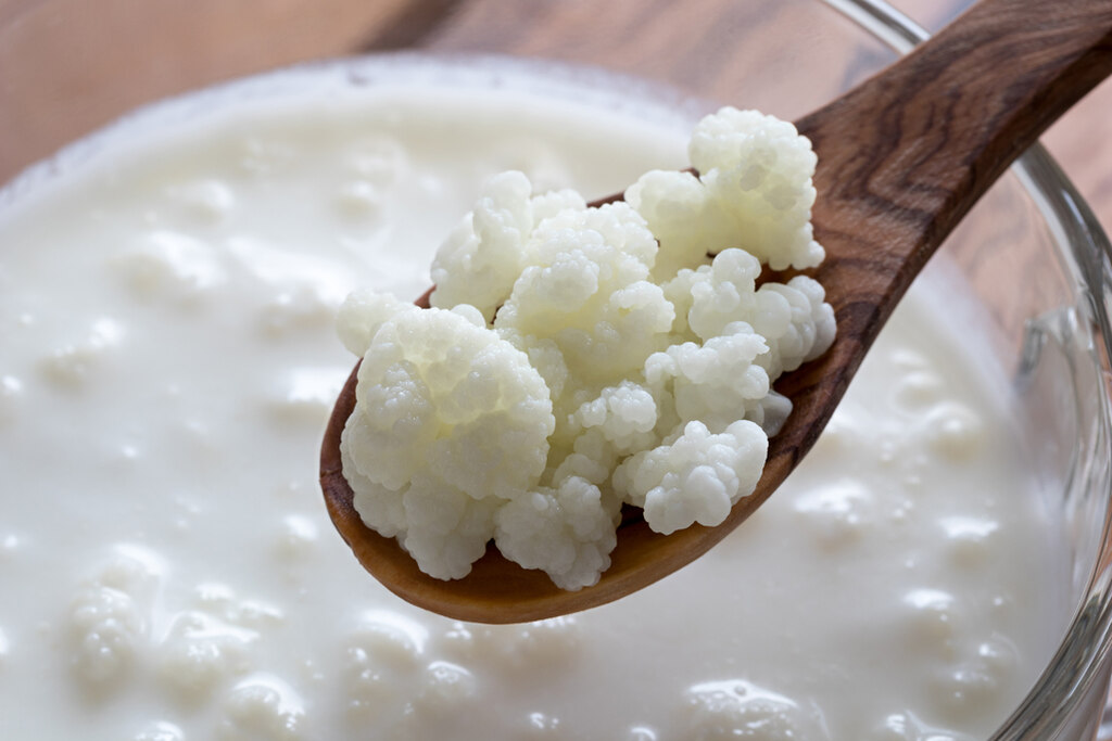 Exemplo de alimentos bons para o intestino
