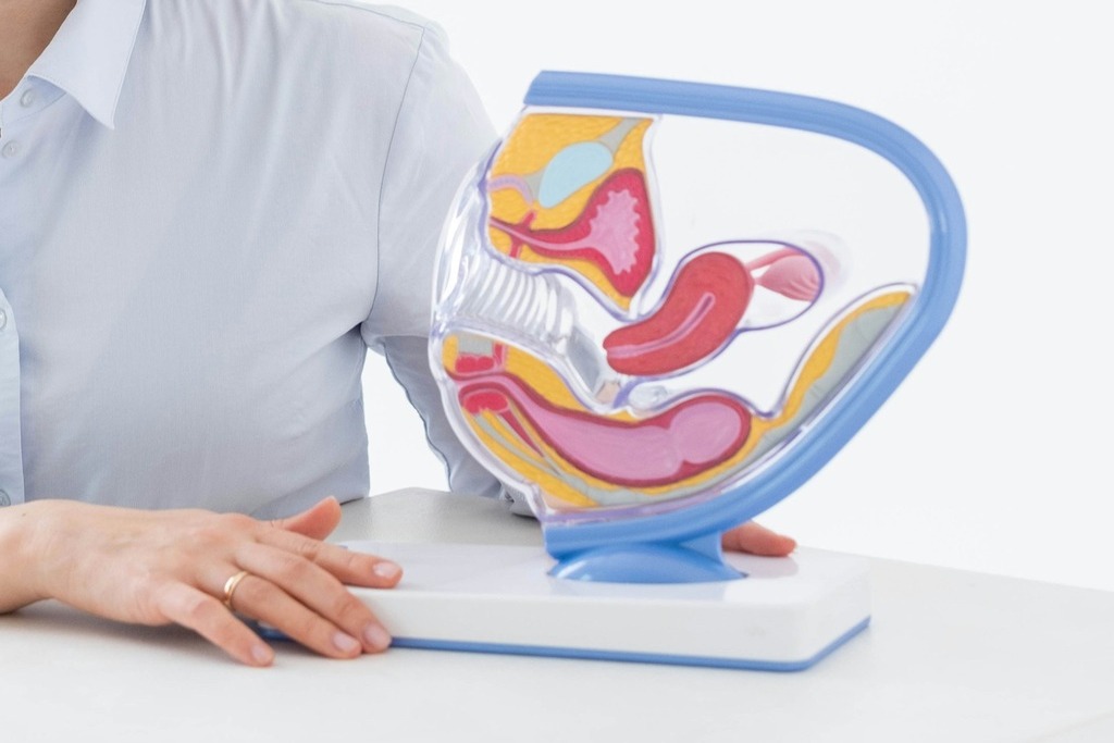 Ginecologista demonstrando como funciona o regulador de menstruação